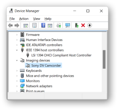 DV device